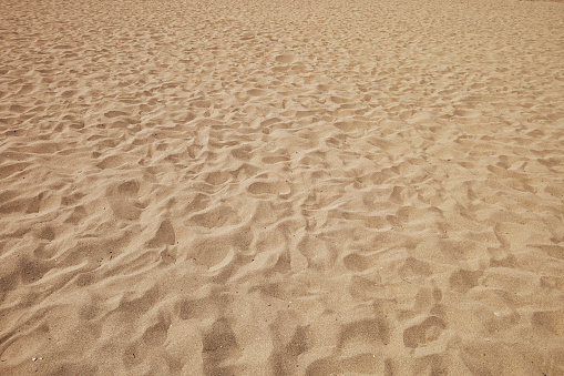 Somos um grão de areia