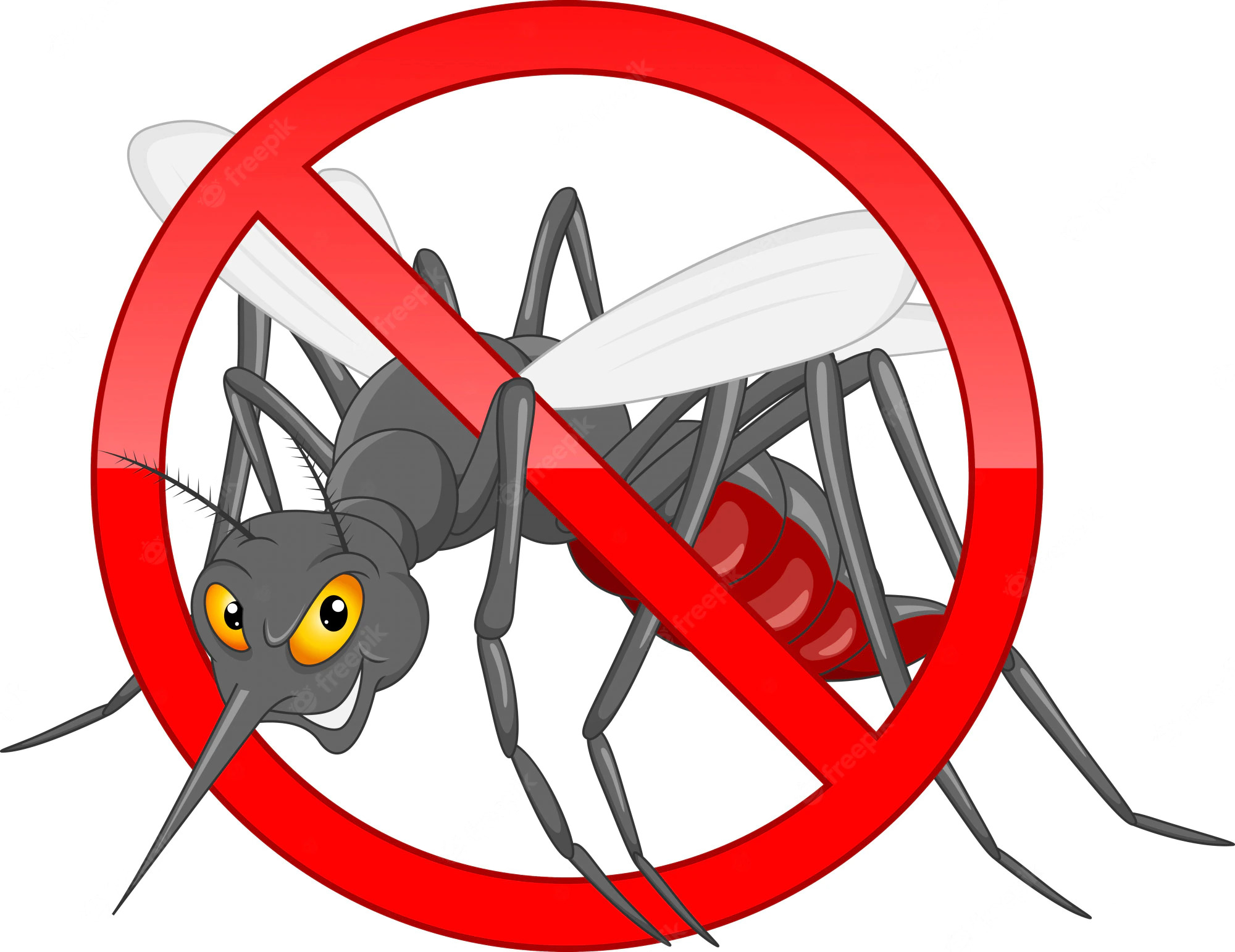 Publieditorial: Minuto Barretos - Combate ao Mosquito da Dengue