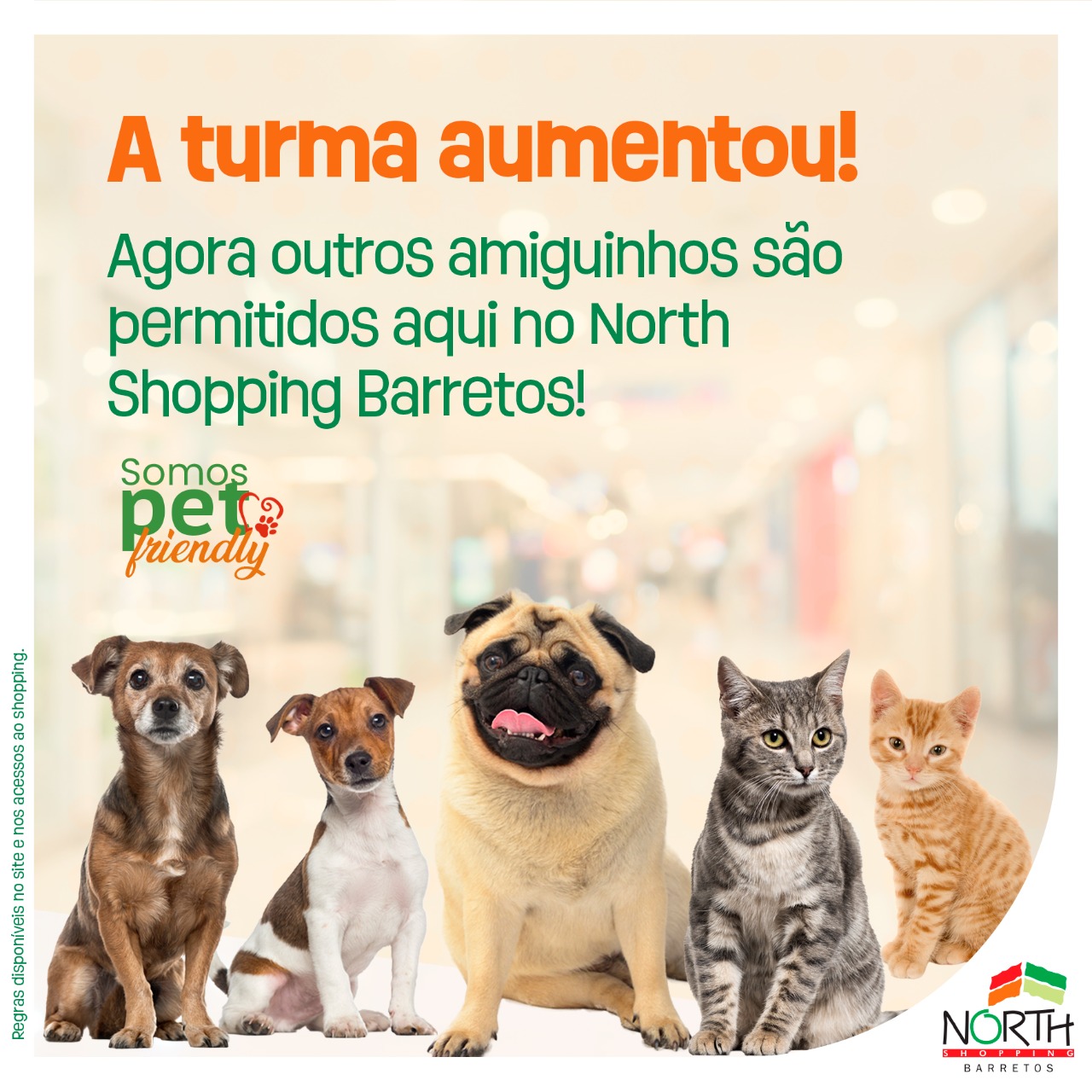 North Shopping Barretos amplia seu conceito “Pet Friendly”