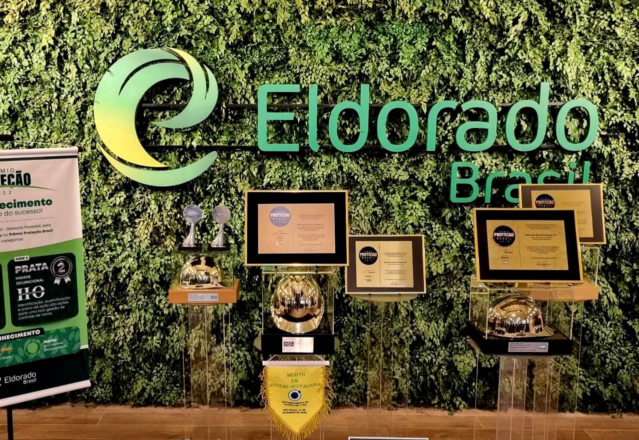 Capacete de Ouro: Eldorado Brasil é vencedora regional no Prêmio Proteção Brasil 2022