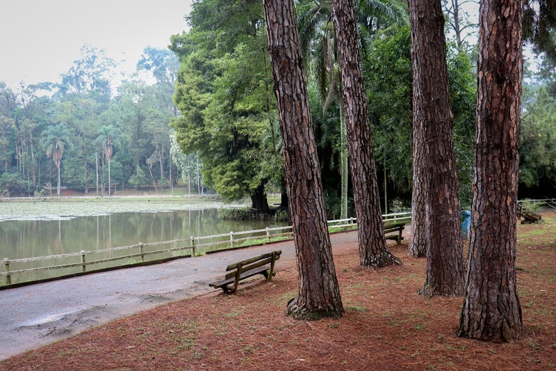 Urbia realiza tour gratuito no Parque Horto Florestal no aniversário de São Paulo
