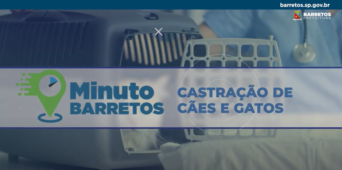 Minuto Barretos: Castração gratuita de cães e gatos