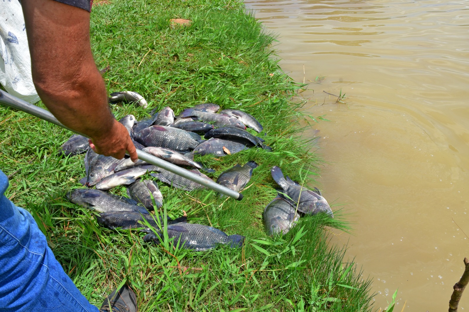 Barretos realiza o 4º Torneio Oficial de Pesca “Pirapesca” na Região dos Lagos neste domingo, dia 26