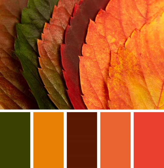 Saiba quais são as tendências em cores para o Outono 2023