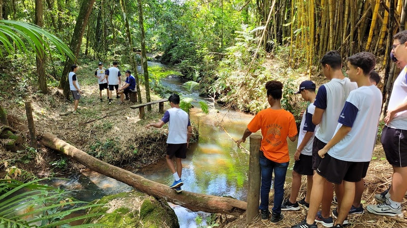 Estudantes podem ter aula dentro de floresta em fazenda de Patrocínio Paulista