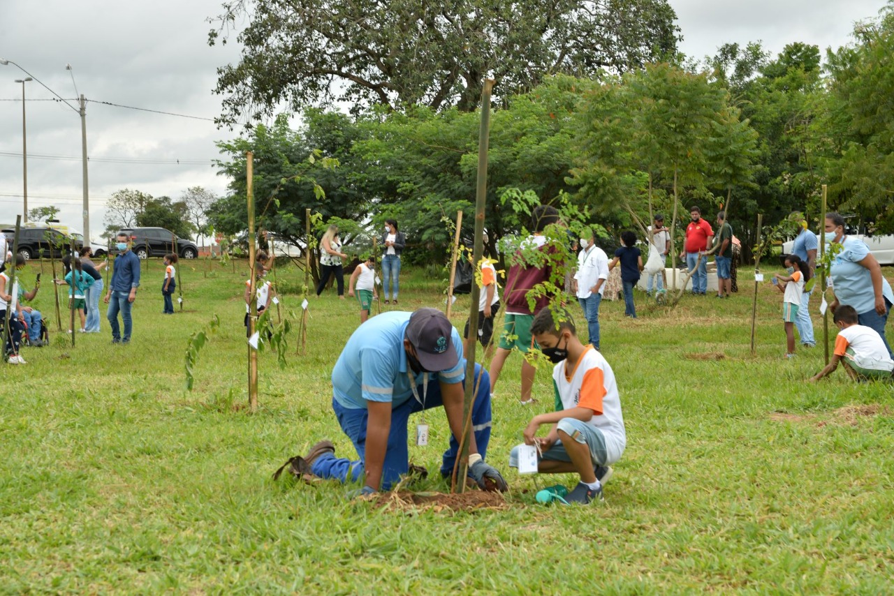 “Plantar Água” do SAAE Barretos promove o plantio de 150 mudas de árvores no lago artificial do Jardim Europa