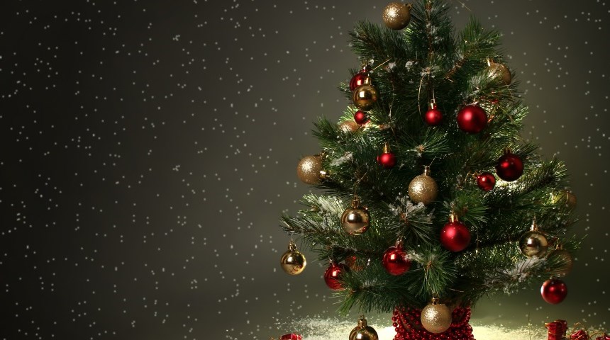 Saiba como surgiu a tradição da Árvore de Natal