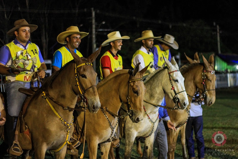 5º Barretos Muar do Sertão reúne animais e comitivas de todo o país